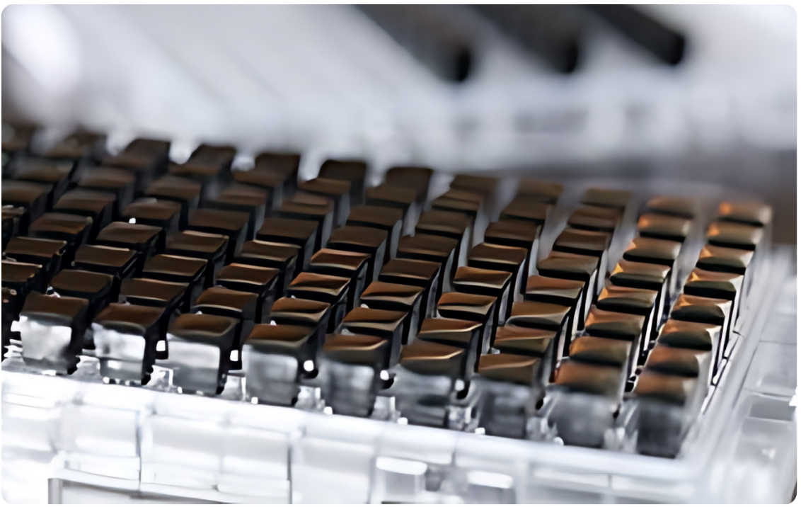 CHIP SINH HOC MICROARRAY e1718611232975