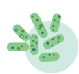 icon2 1